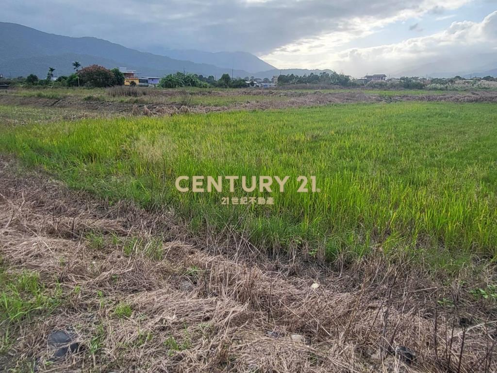 BC821人和便宜美田