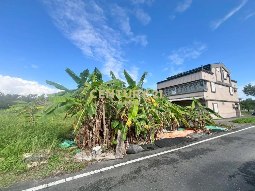 BD698縣政別墅建地