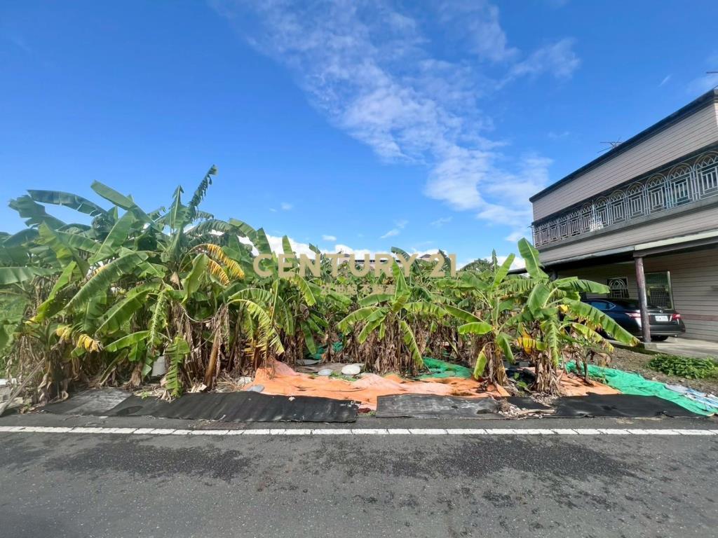 BD698縣政別墅建地