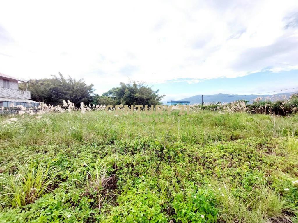 CC587頭城礁溪壯圍交界新竹安段農地