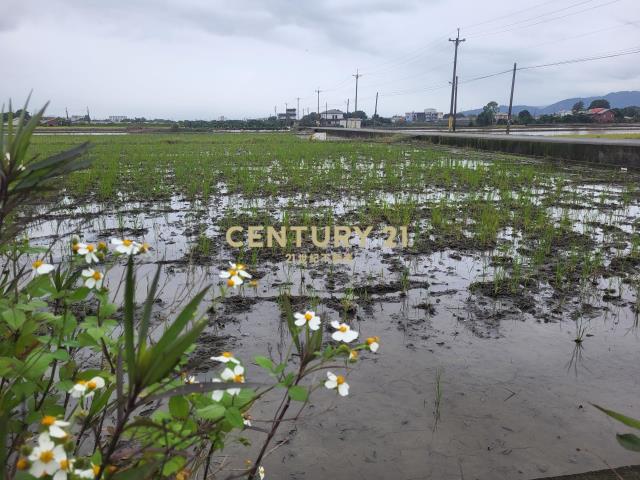 BC824三星頂美大面寬足坪農地