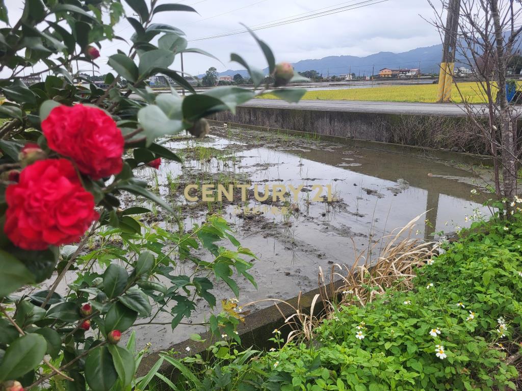 BC824三星頂美大面寬足坪農地