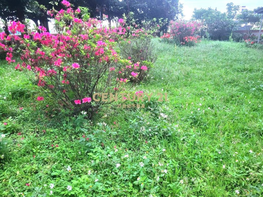 BA459花園美套房