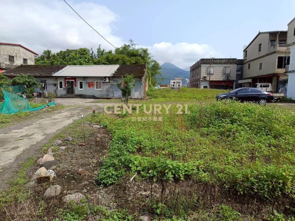 BD702礁溪白鵝段超便宜甲建持分1/4
