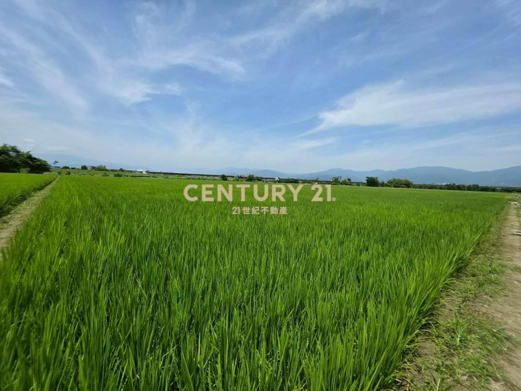 JC368壯圍復興段363農地