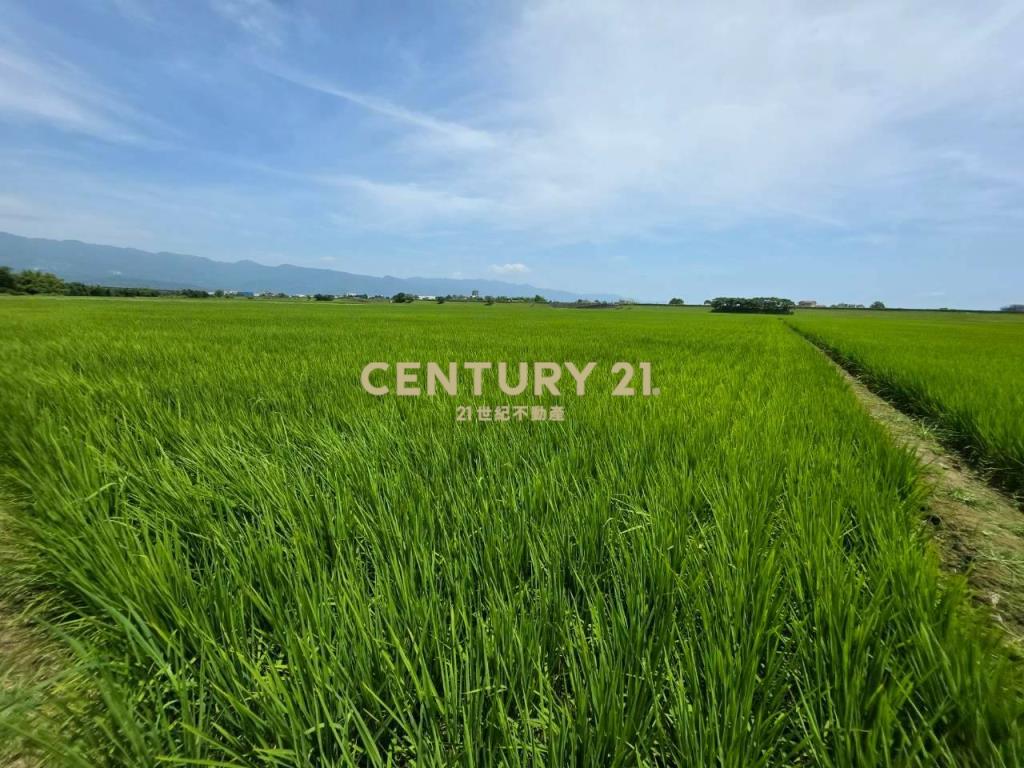 JC368壯圍復興段363農地