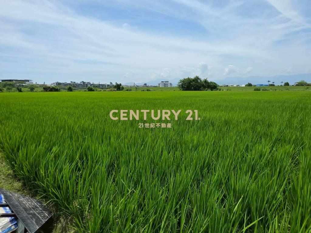 JC368壯圍復興段363農地