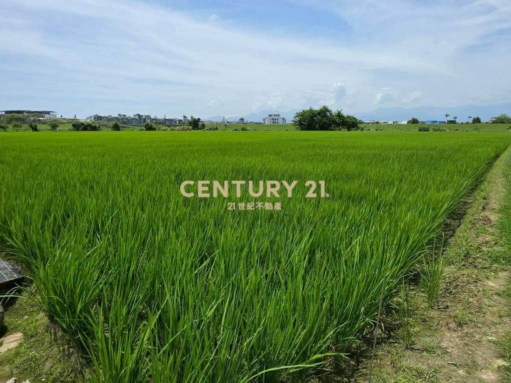 JC368壯圍復興段363農地