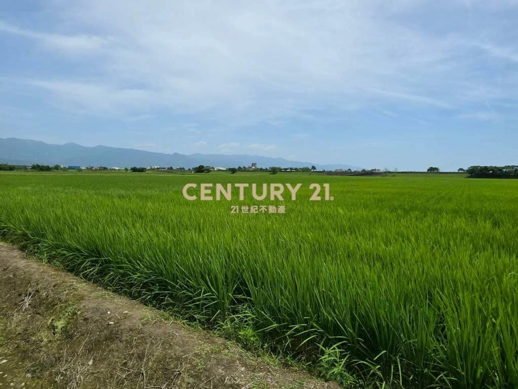 JC368壯圍復興段363農地