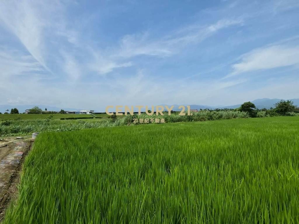 JC368壯圍復興段363農地