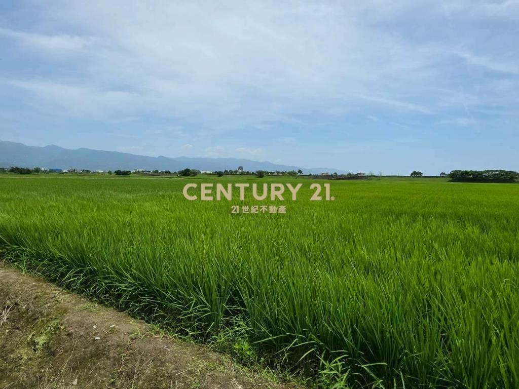 JC368壯圍復興段363農地