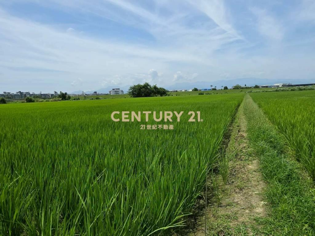 JC368壯圍復興段363農地