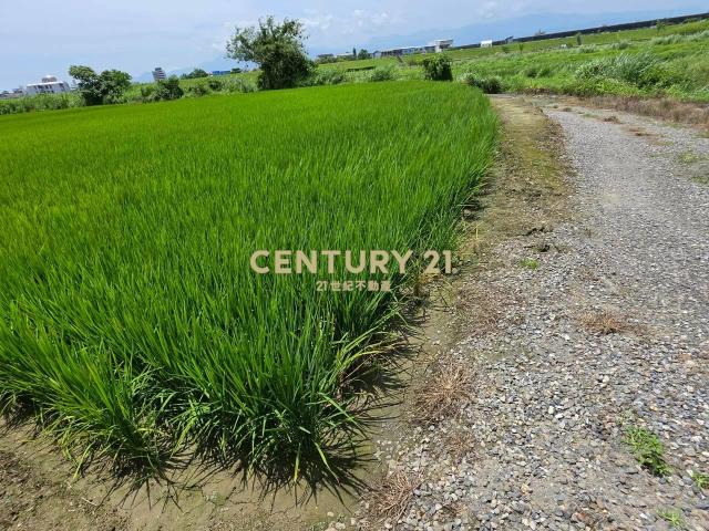 JC369壯圍復興段342方正農地