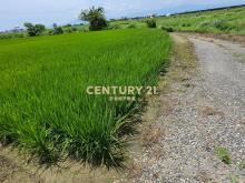 JC369壯圍復興段342方正農地