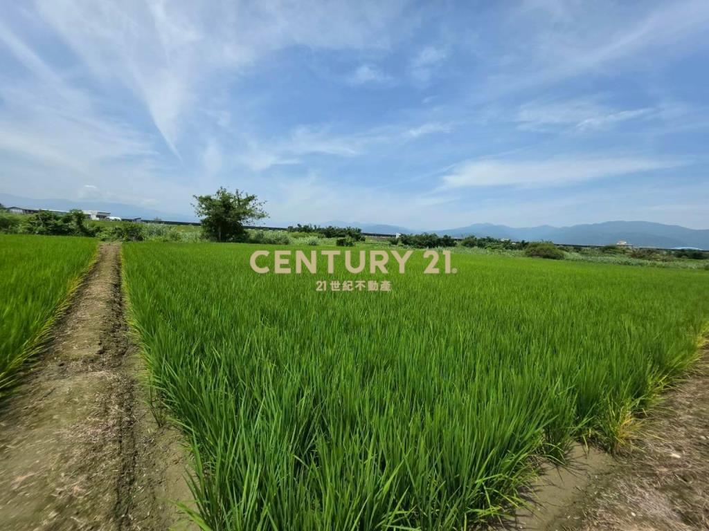 JC369壯圍復興段342方正農地