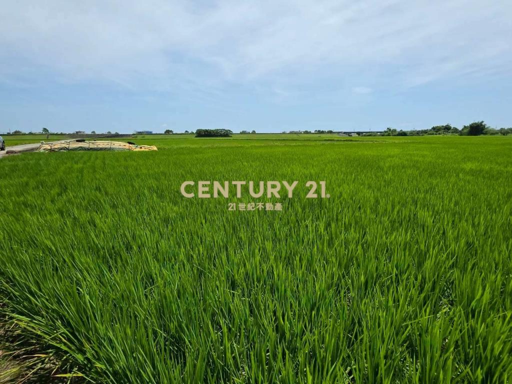 JC369壯圍復興段342方正農地