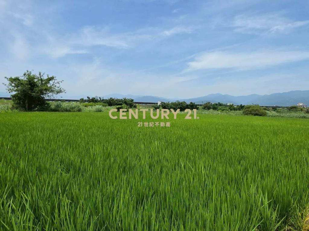 JC369壯圍復興段342方正農地