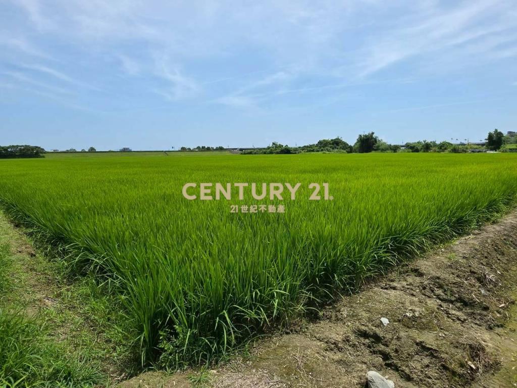 JC369壯圍復興段342方正農地