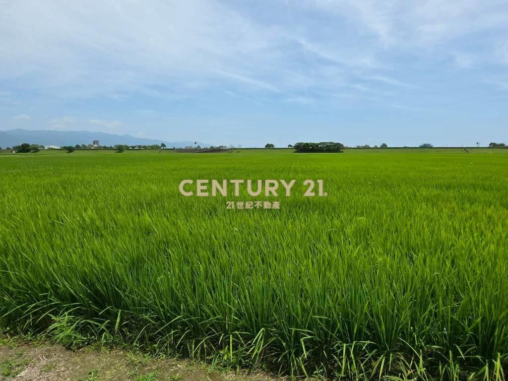 JC369壯圍復興段342方正農地