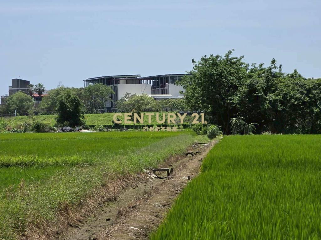 JC369壯圍復興段342方正農地