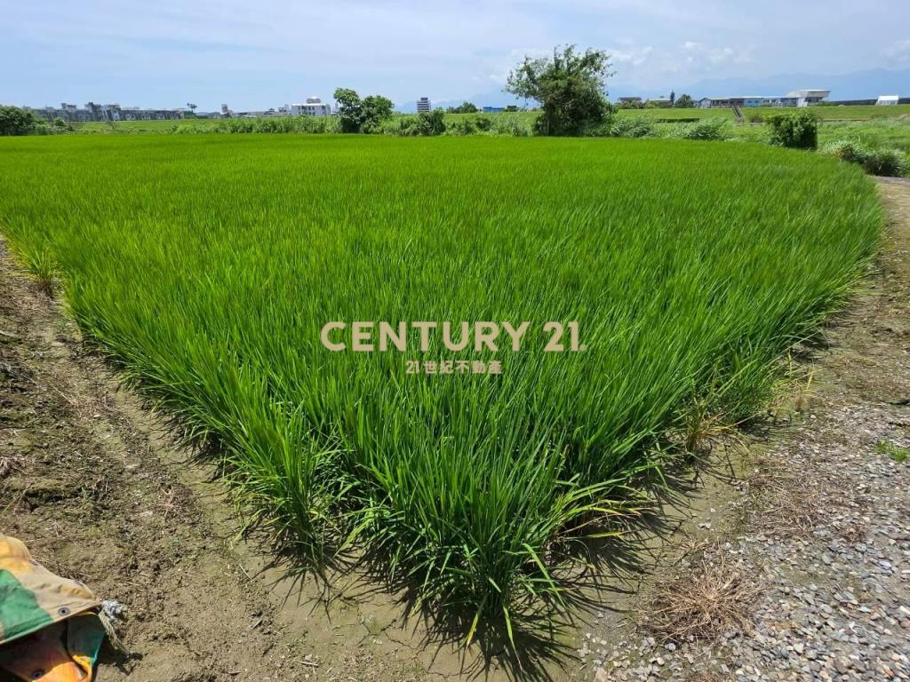 JC369壯圍復興段342方正農地