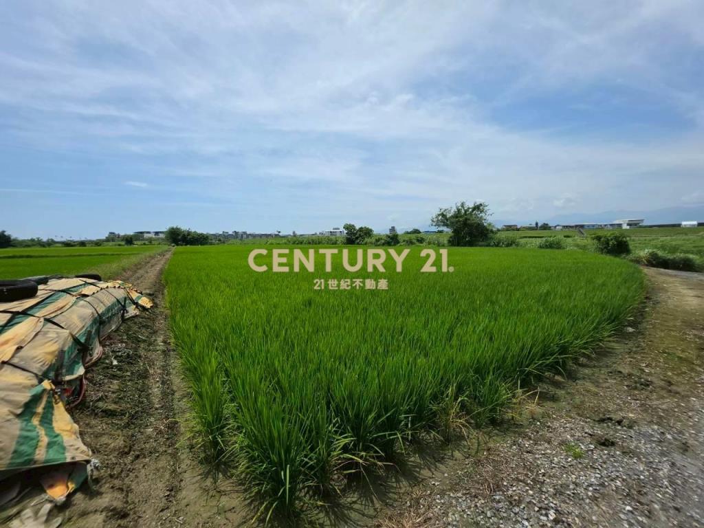 JC369壯圍復興段342方正農地