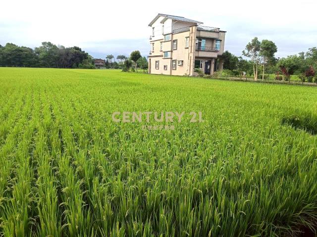 BC833員山深惠段老農農地