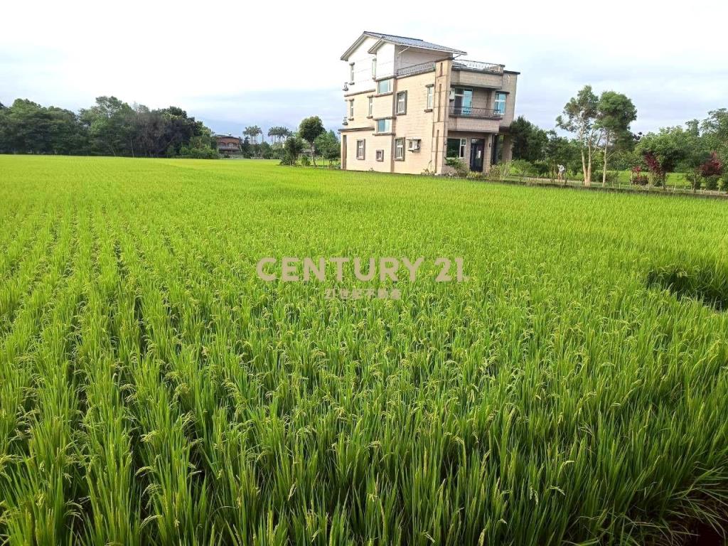 BC833員山深惠段老農農地