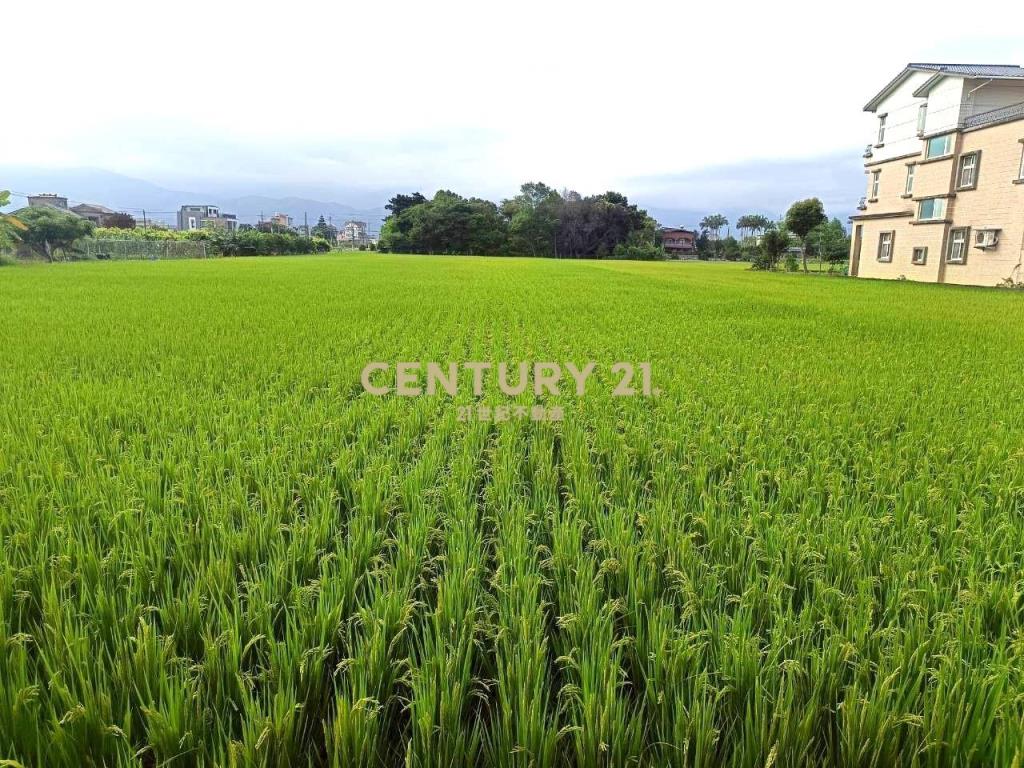 BC833員山深惠段老農農地