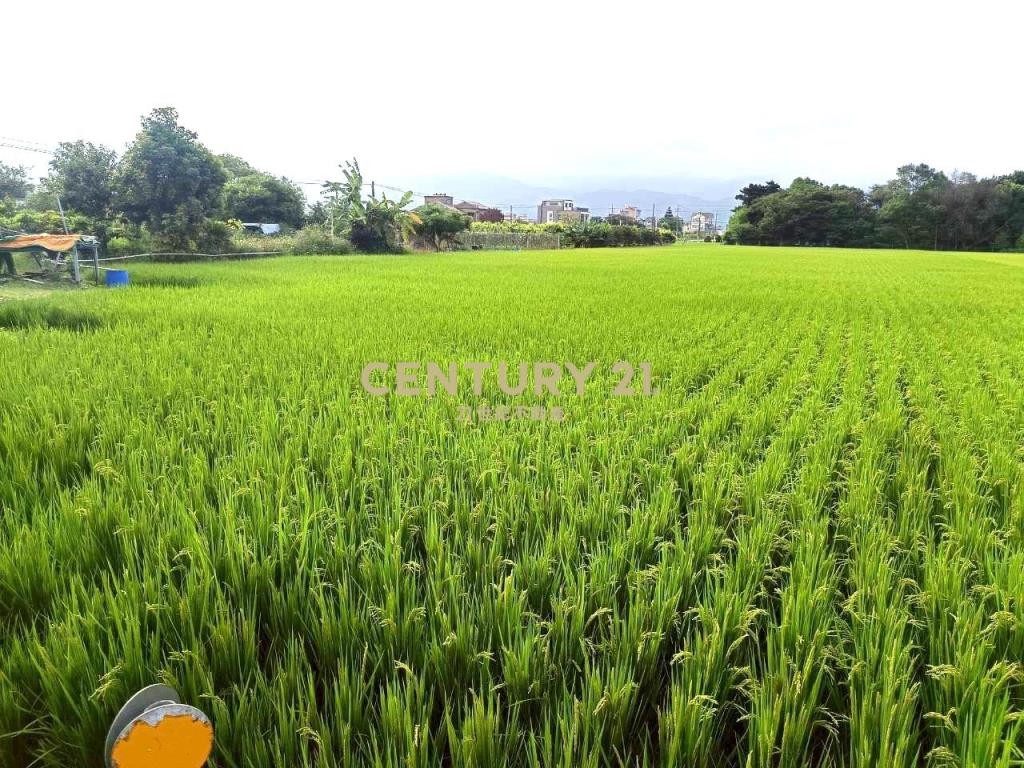 BC833員山深惠段老農農地