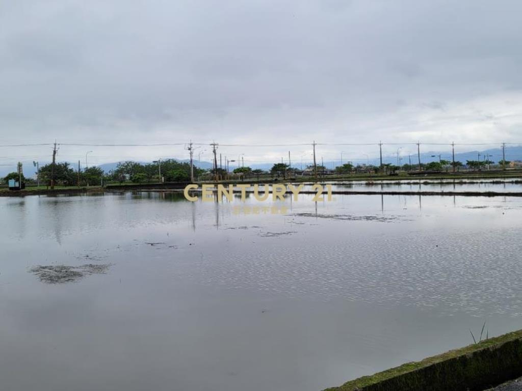 JC370壯圍大面寬足坪美農地
