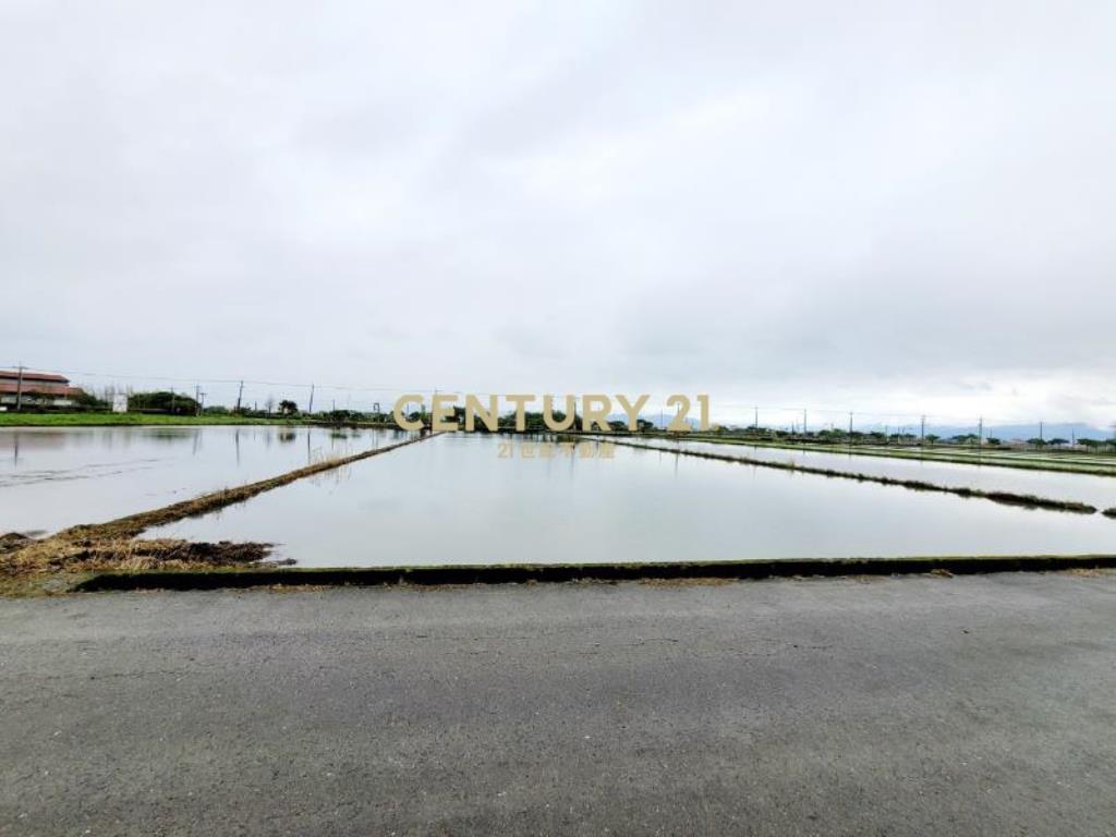 JC370壯圍大面寬足坪美農地