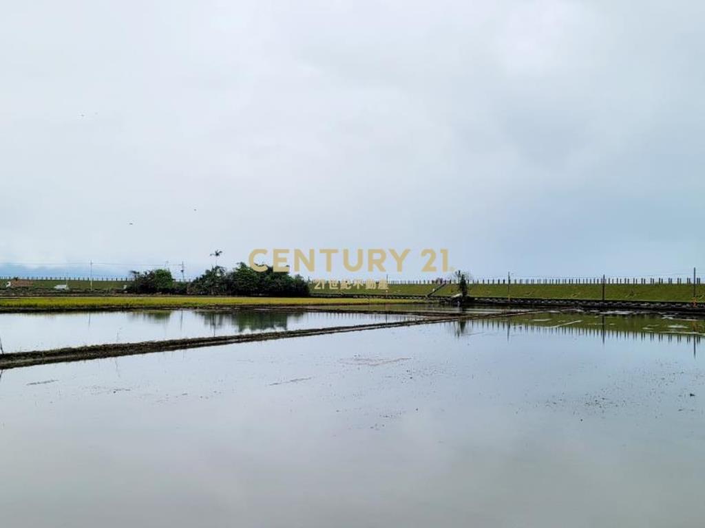 JC371新南380美農地