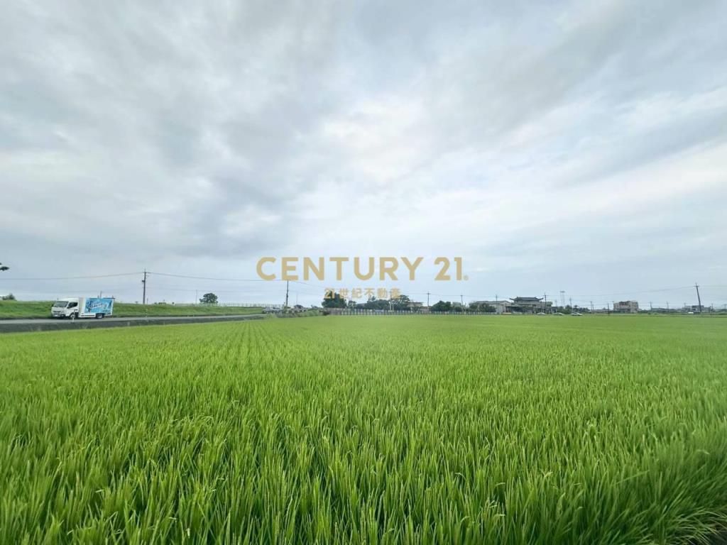 JC372高鐵旁新福增值農地