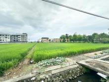 JC373振興足坪美農地