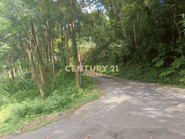 BC835新竹縣橫山鄉沙坑參段小台地