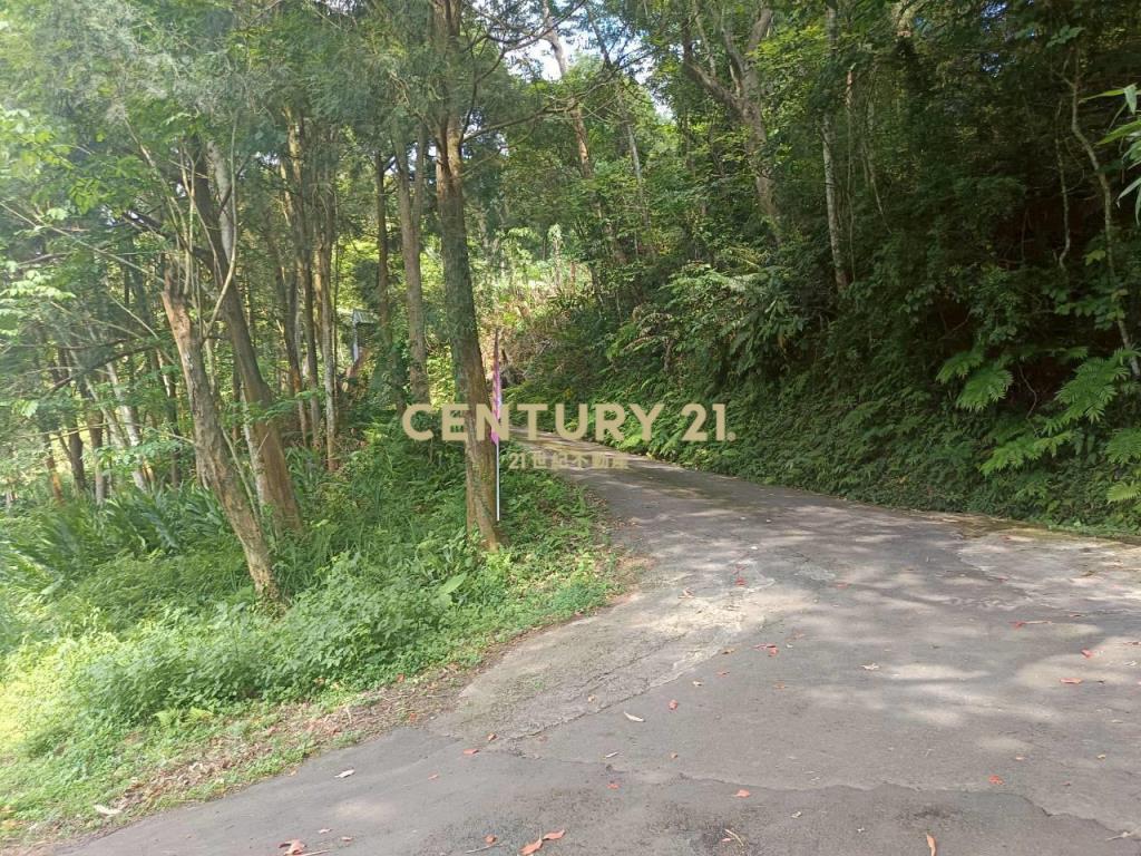 BC835新竹縣橫山鄉沙坑參段小台地