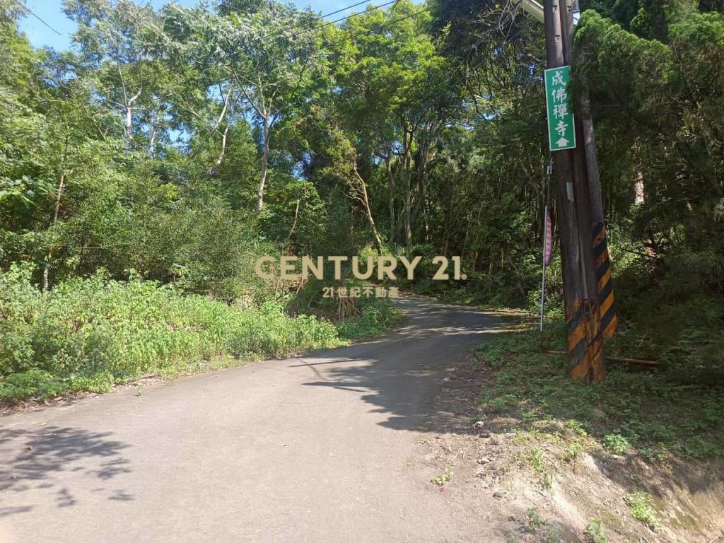 BC835新竹縣橫山鄉沙坑參段小台地