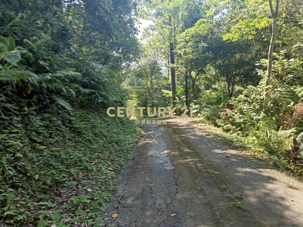 BC835新竹縣橫山鄉沙坑參段小台地