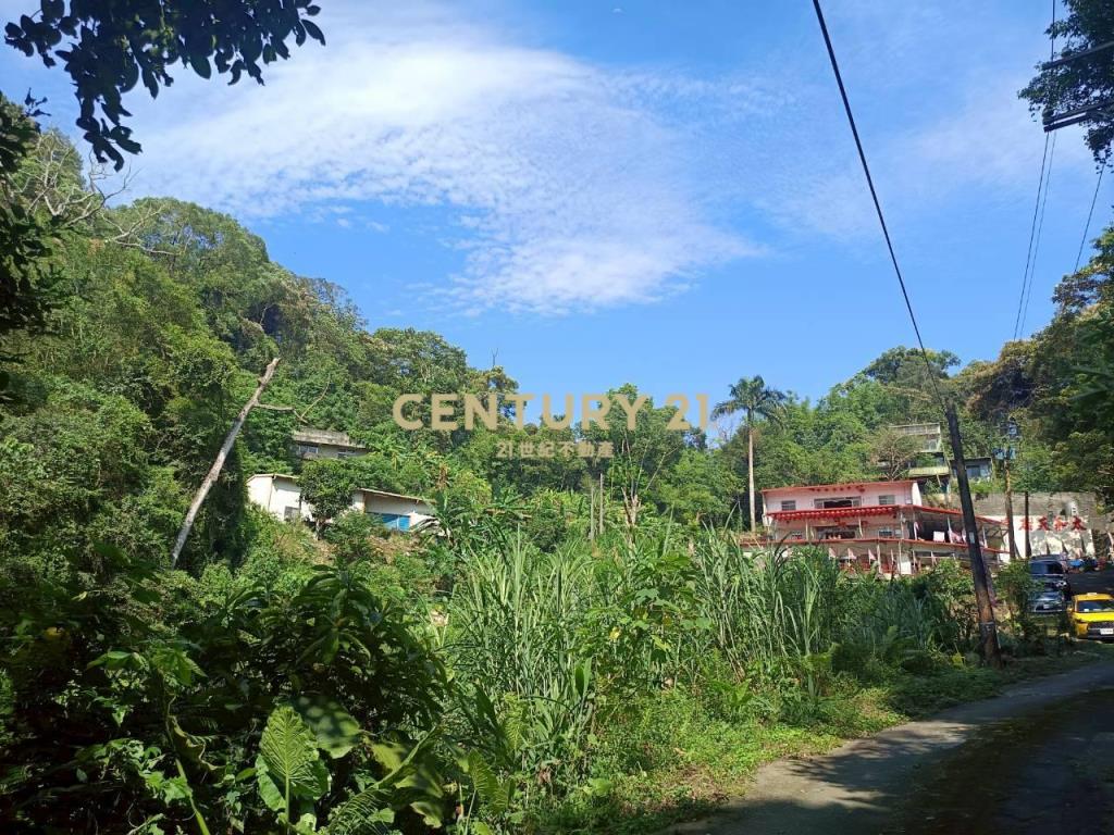 BC835新竹縣橫山鄉沙坑參段小台地