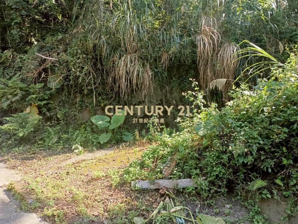 BC835新竹縣橫山鄉沙坑參段小台地