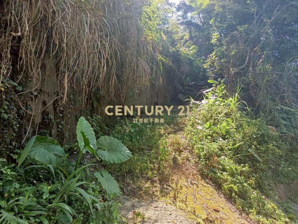 BC835新竹縣橫山鄉沙坑參段小台地