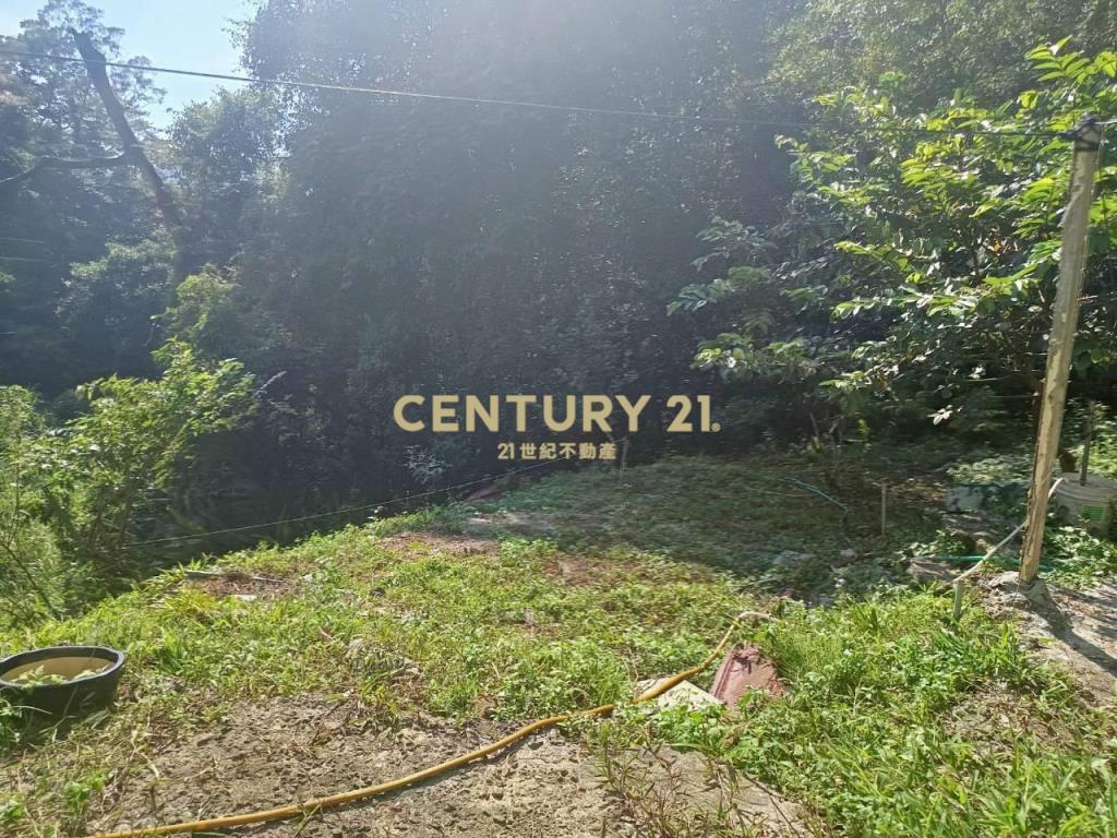 BC835新竹縣橫山鄉沙坑參段小台地
