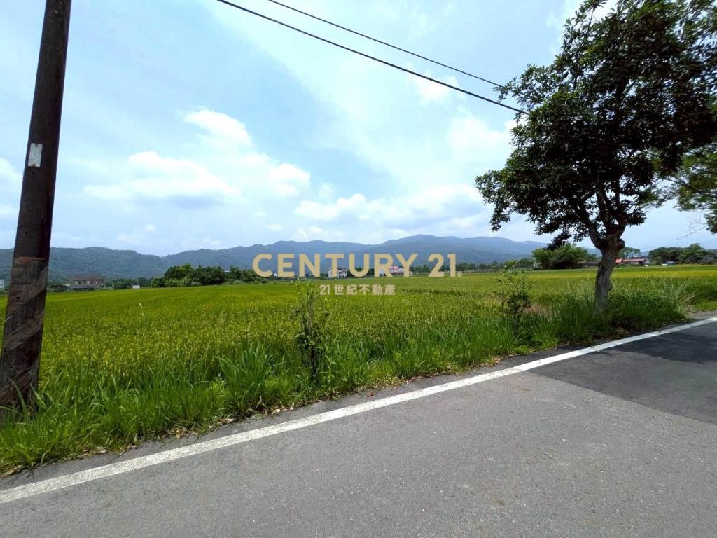BC838三星新健富段四分五便宜農地