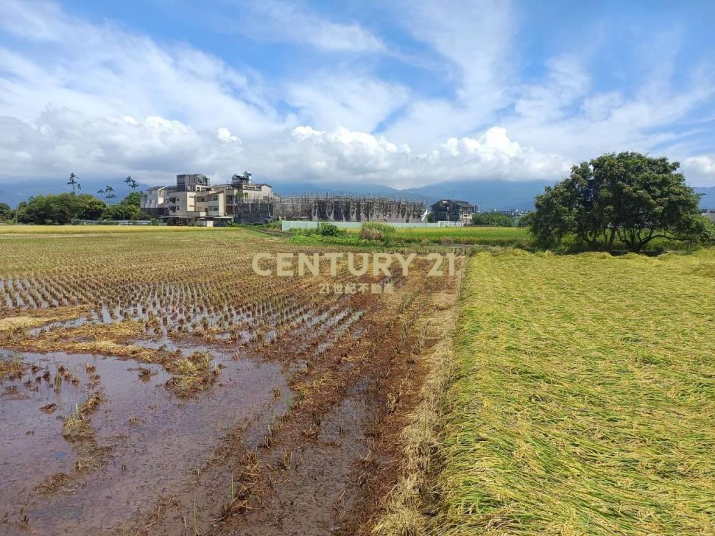 BC840宜蘭市珍珠段95至尊農地