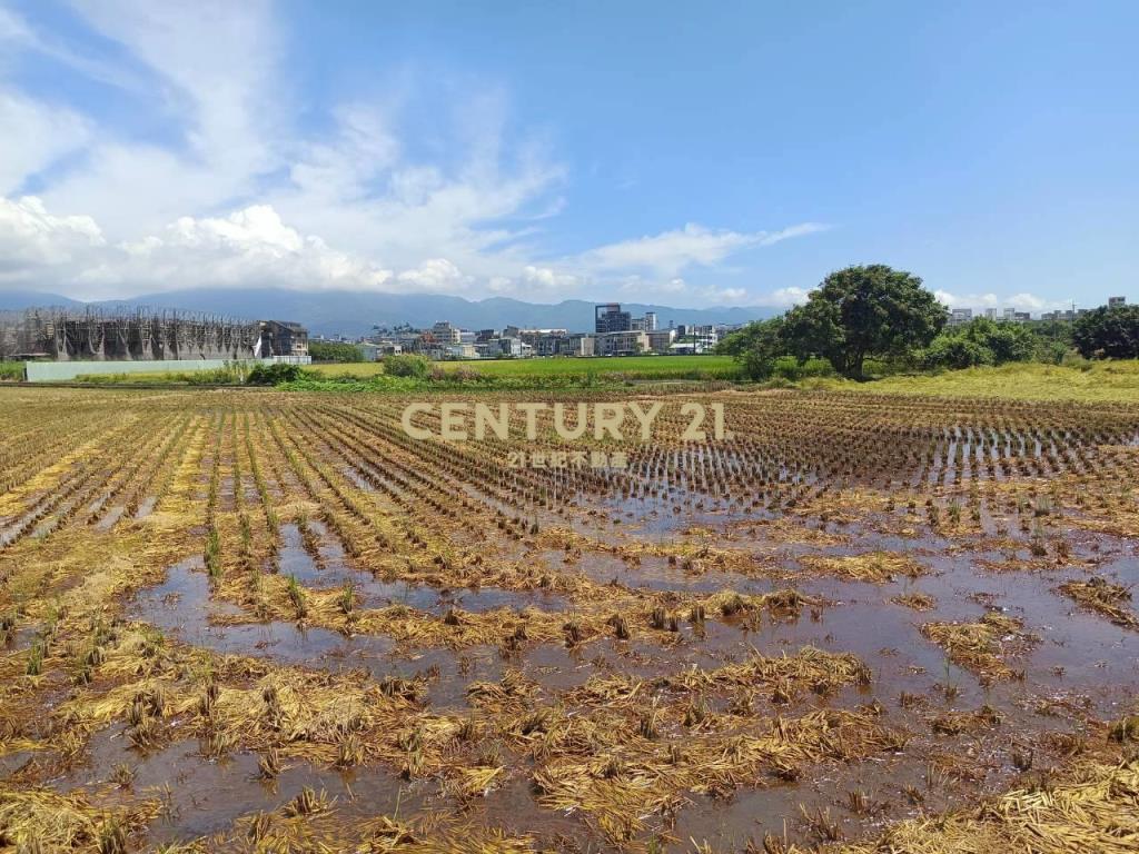 BC840宜蘭市珍珠段95至尊農地