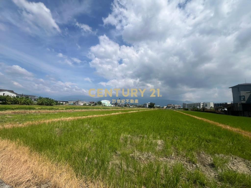 BC848近191方正農地