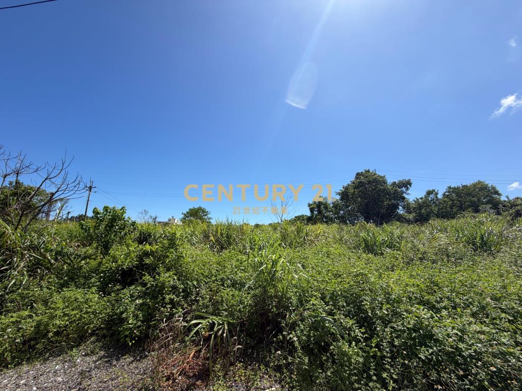 BC850冬山河足坪美農地