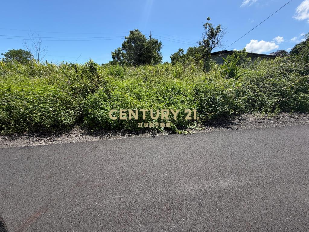 BC850冬山河足坪美農地