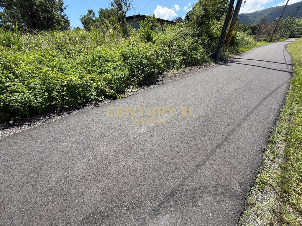 BC850冬山河足坪美農地
